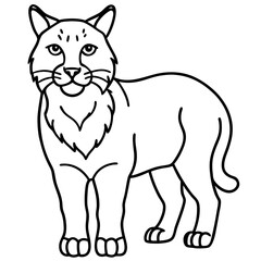 Minimal Arctic Lynx Vector Line Art