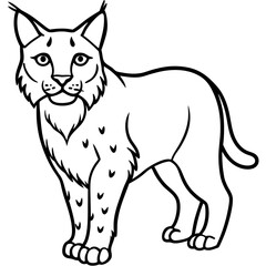 Minimal Arctic Lynx Vector Line Art