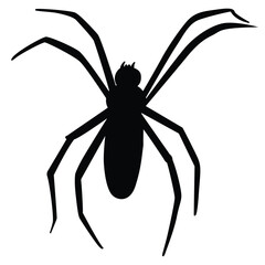 Cute cartoon hand drawn vector Spider silhouette.