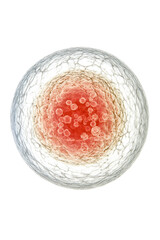 Isolated Red Cell