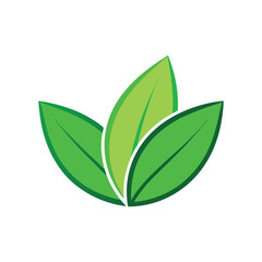 Three Green Leaves Logo with White Background 
