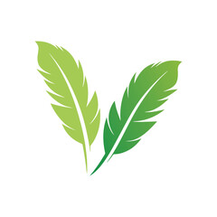 Two Green Feathers A Minimalist and Clean Design