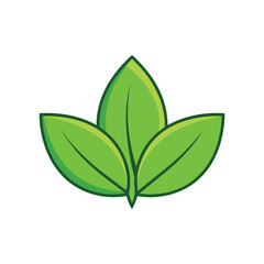 Three vibrant green leaves vector with white background 