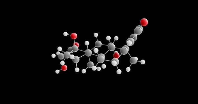 Prednisolone molecule, rotating 3D model of adrenals, looped video on a black background