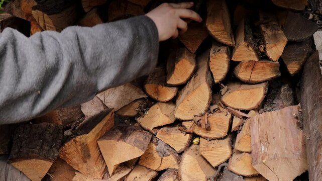 person stacking firewood in neat pile with hand adjusting chopped logs of various sizes against rustic background, concept of winter preparation, sustainable heating, rural lifestyle