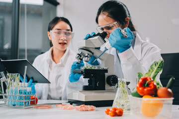 Chemical Laboratory of the Food supply . Food in laboratory, dna modify .GMO Genetically modified...