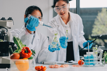 Chemical Laboratory of the Food supply . Food in laboratory, dna modify .GMO Genetically modified...