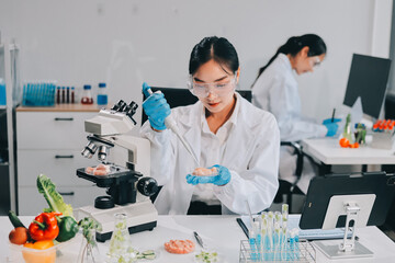 Chemical Laboratory of the Food supply . Food in laboratory, dna modify .GMO Genetically modified...
