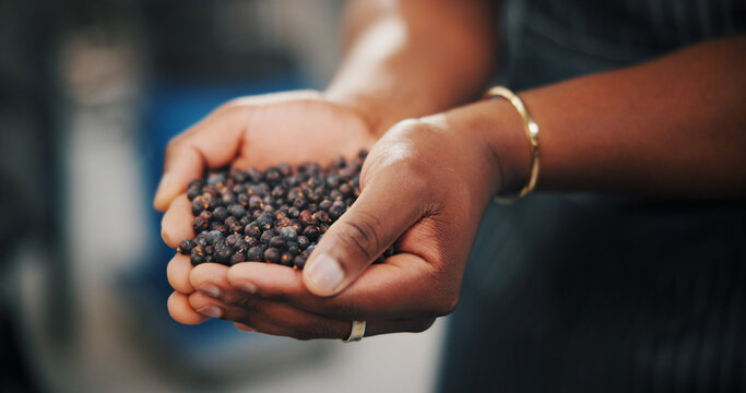 Hands, juniper berries and production with person in distillery for gin industry or manufacturing. Fermentation, flavor and process with employee closeup in brewery, factory or plant for distillation - Powered by Adobe