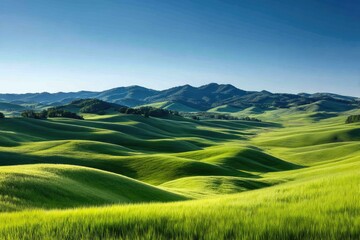 Obraz premium Lush, rolling hills under a vibrant, clear sky.