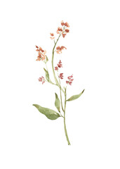 Watercolor Abstract Flower Illustration Earthy Tone Floral Design Element Hand Painted Artistic Bloom, Pink Floral Clipart