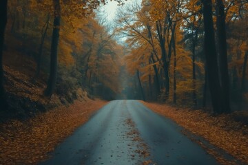 Obraz premium Wet asphalt road covered in fallen leaves winding through a vibrant, misty autumn forest, creating a serene and picturesque scene