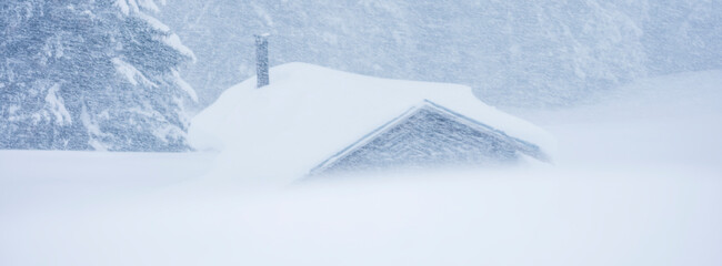 A small building nearly buried in snow during a blizzard, with a tree visible to the left. San Pellegrino Pass, Fiamme Valley, Trentino, Italy. 