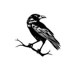 Fototapeta premium black and white crow line art vector