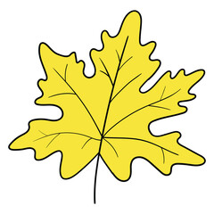 Hand drawn cartoon yellow maple leaf on white background.