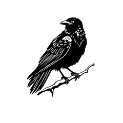 Obraz premium black and white crow line art vector