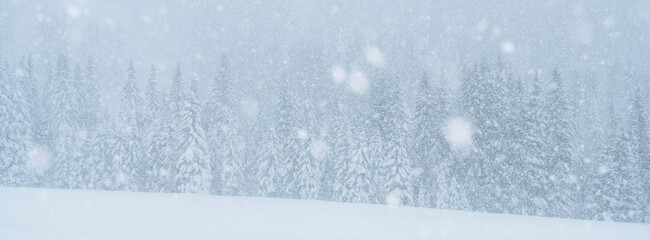 Snow falls heavily on a forest of evergreen trees. San Pellegrino Pass, Fiamme Valley, Trentino, Italy. The scene is monochromatic, with shades of white and gray.