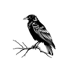 Obraz premium black and white crow line art vector