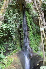 Misol Ha Waterfall, Chiapas, Mexico