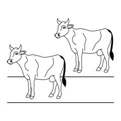 cow line art vector illustration