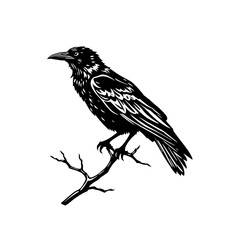black and white crow line art vector