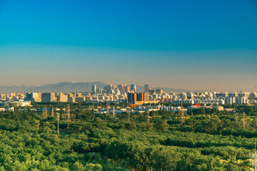 Fototapeta premium A large forest in Beijing's Nanyuan District and modern urban buildings in the distance