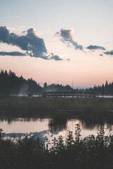 quiet and serene sunrise in a pond in alberta, canada, with moody forest and pastel pink sky surrounded by pine forest
