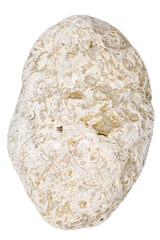 Top view of single white pebble isolated on white background.