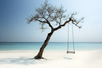 Solitary tree with swing on pristine beach