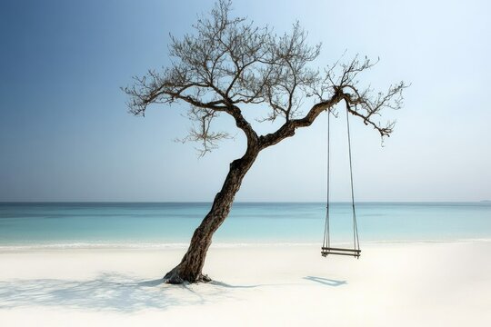 Solitary tree with swing on pristine beach