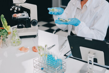 Chemical Laboratory of the Food supply . Food in laboratory, dna modify .GMO Genetically modified food in lab