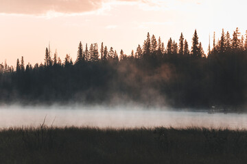 morning hike at sunrise in canada, by a pine tree forest, with misty air and pastel colours, full moon and pale clouds in the sky, by the little quiet pond