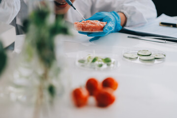 Chemical Laboratory of the Food supply . Food in laboratory, dna modify .GMO Genetically modified food in lab