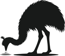 Emu bird vector silhouette isolated drawing