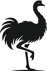 Emu bird vector silhouette isolated drawing