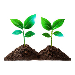 Fototapeta premium Fresh Green Sprouts Growing from Rich Soil with Bright Leaves