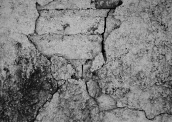 Large vector halftone cracked concrete wall with a transparent background