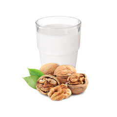 Nut milk in glass and walnuts isolated on white