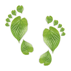 Human footprints made of green leaves on white background, top view. Environmental care, ecology protection, reducing CO2 emission