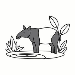 Fototapeta premium A tapir standing beside a small pond in the jungle