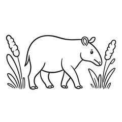 Obraz premium A tapir walking near tall grass in a forest clearing