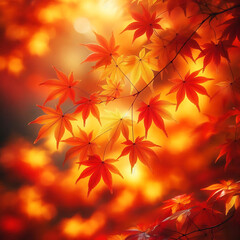 Fototapeta premium Colorful Leaf Focus