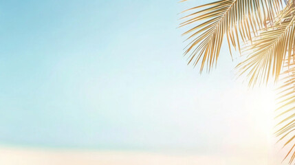 Blue clear sky background of tropical beach with palm leaves, copy space