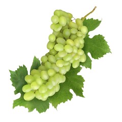 Obraz premium bunch of grapes isolated on white