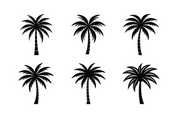 Fototapeta premium Palm Tree Isolated Art