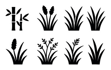 Six varieties of silhouette plants including bamboo and grass