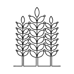 wheat icon, wheat vector illustration-simple illustration of wheat, perfect for wheat logos and icons