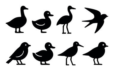 Silhouette collection of various bird species in black outline