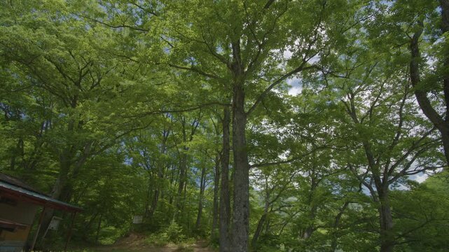 宮城県七ヶ宿町 長老湖の風景 Scenery of Lake Choro in Shichikashuku Town, Miyagi Prefecture