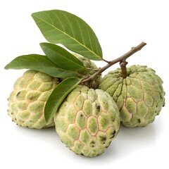 Obraz premium Three fresh sugar apples with a stem and green leaves displayed